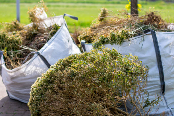 Full-Service Junk Removal in Tukwila, WA